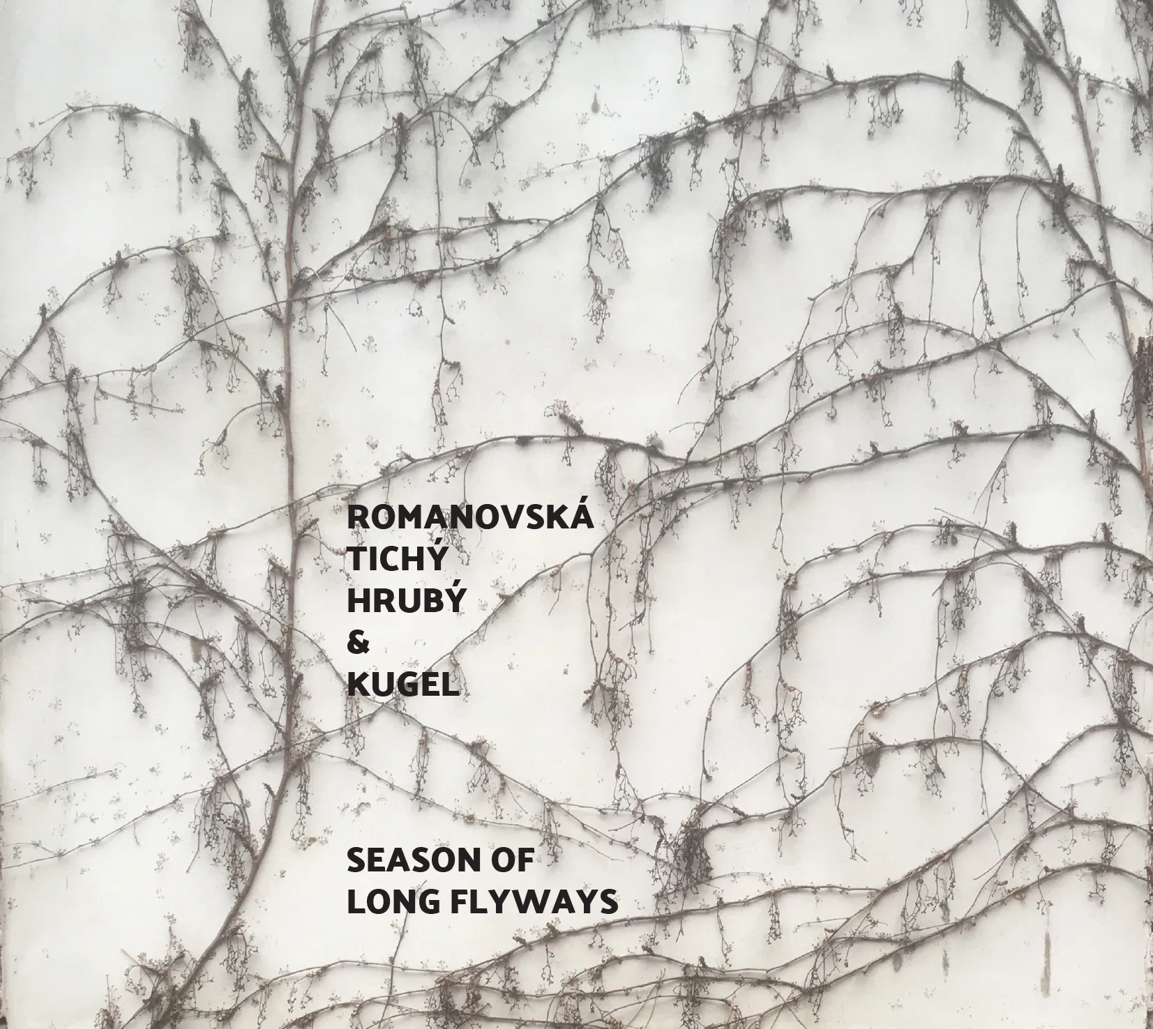 Seasons of Long Flyways (Live in Dobrohoř)