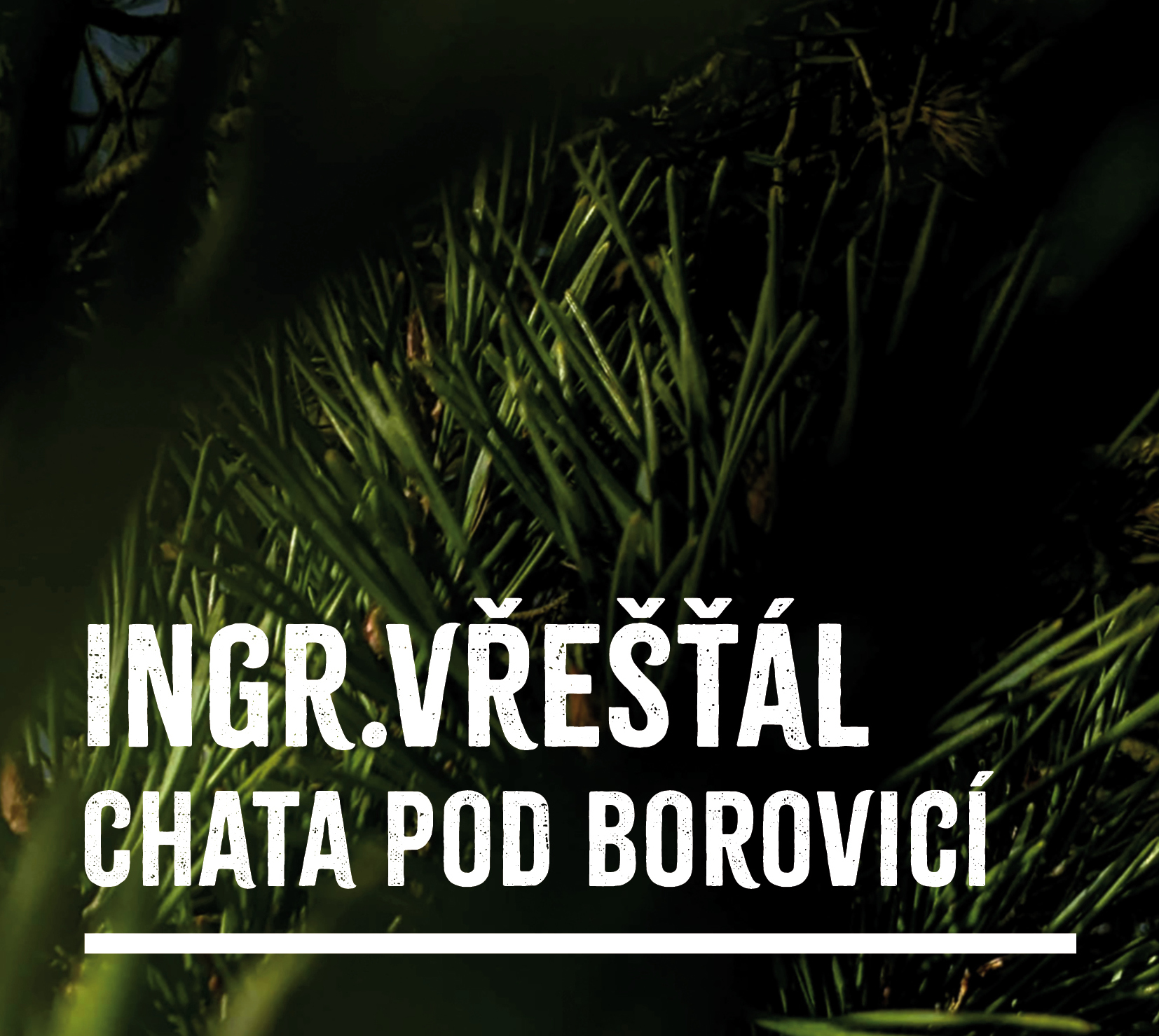 Chata pod borovicí