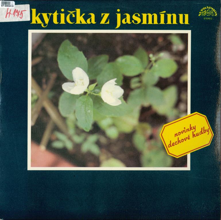 Kytička z jasmínu