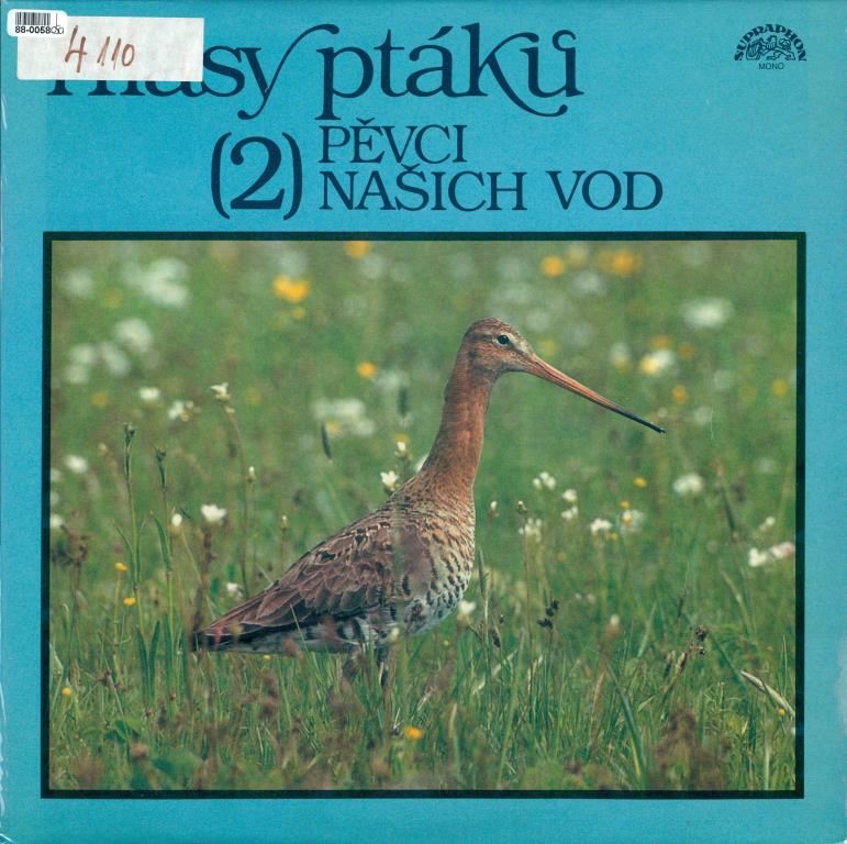 Hlasy ptáků