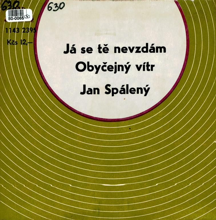 Já Se Tě Nevzdám | Obyčejný Vítr