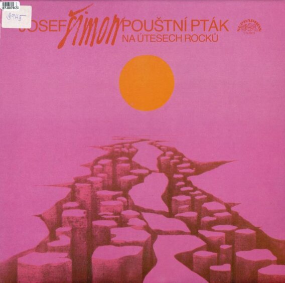 Pouštní pták na útesech rocků