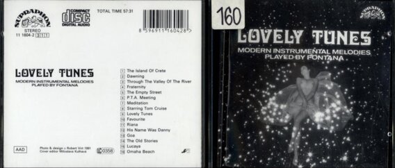 Lovely tunes modern instrumental melodies played by Fontana