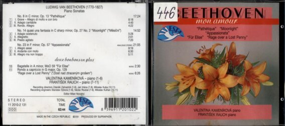 Beethoven - Mon amour