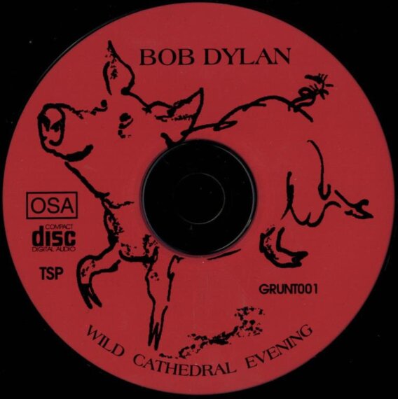 Wild cathedral evening