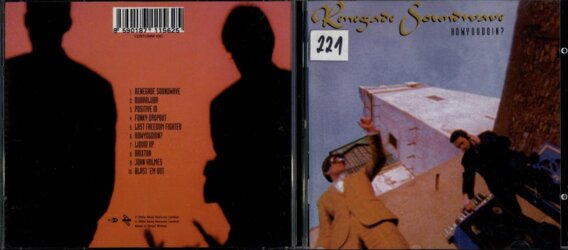 Renegade soundwave - How you do in?