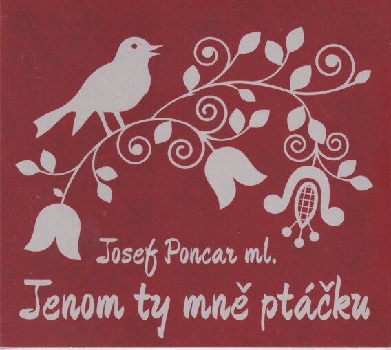 Jenom ty mně ptáčku