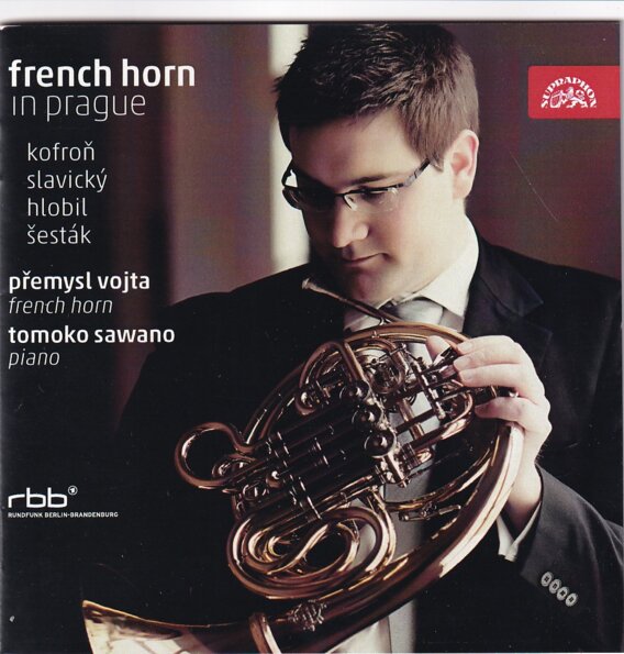 French Horn In Prague