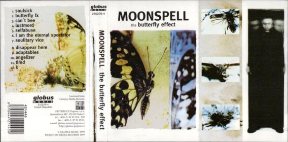 The butterfly effect