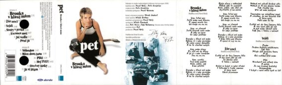 Brouka v hlavě mám