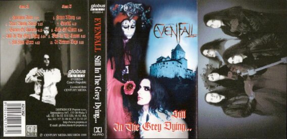 Still In The Grey Dying