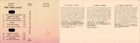 Neuč vtáka lietať!