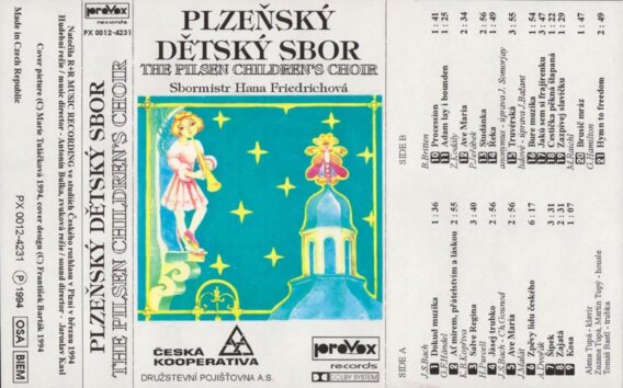 Plzeňský dětský sbor