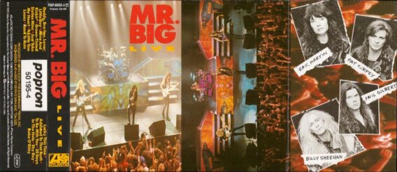 Mr. Big live