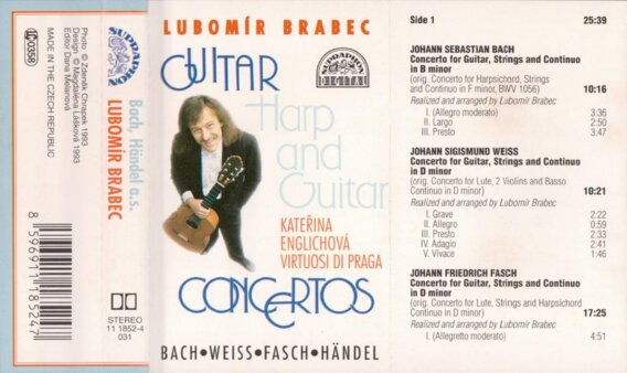 Guitar Harp and Guitar