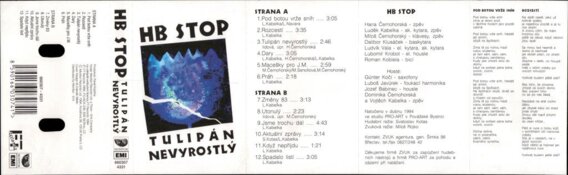 Tulipán nevyrostlý