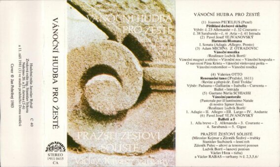 Vánoční hudba pro zeště