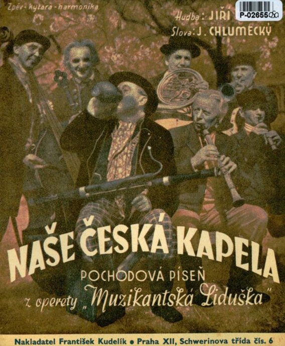 Zpěv - kytara - harmonika - Naše Česká kapela