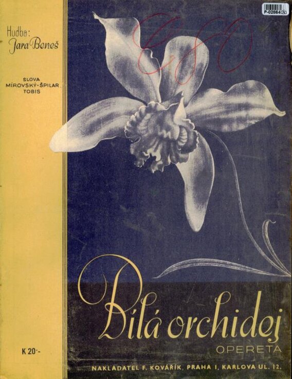 Bílá orchidej