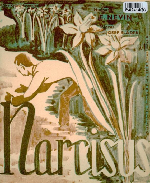 Zpěv - Kytara - Harmonika - Narcisus