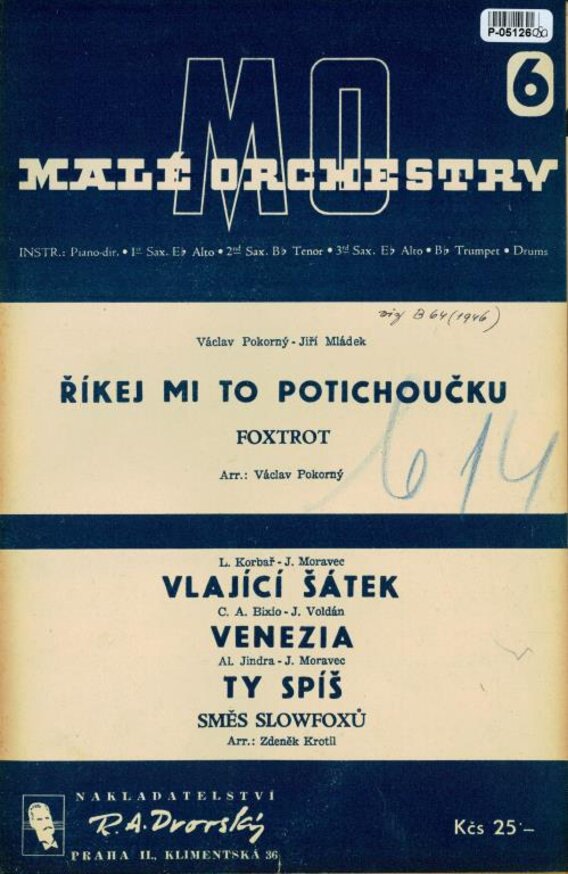 Malé orchestry 6