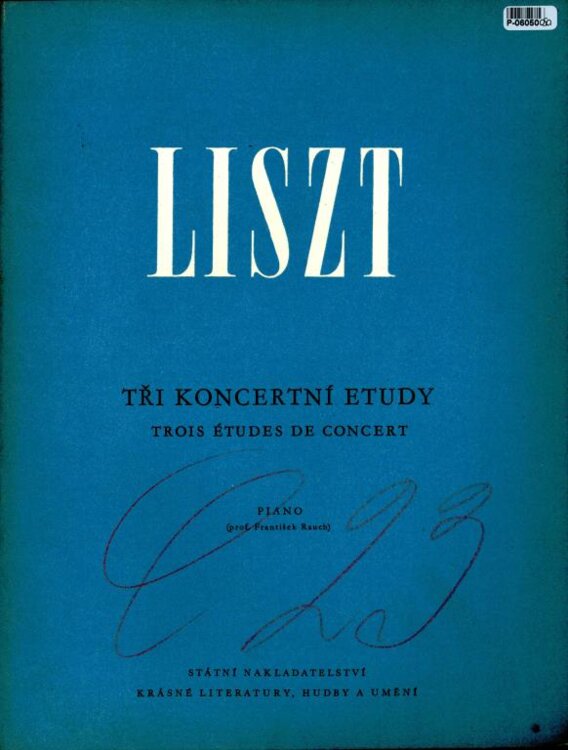 Tři koncertní etudy