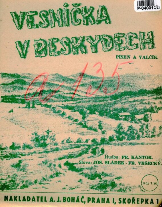 Vesnička v Beskydech