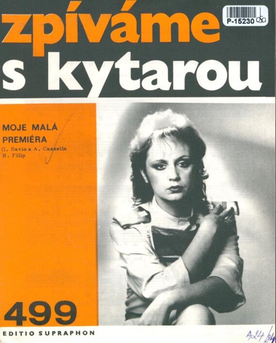 Zpíáme s kytarou 499