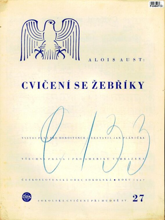 Cvičení se žebříky