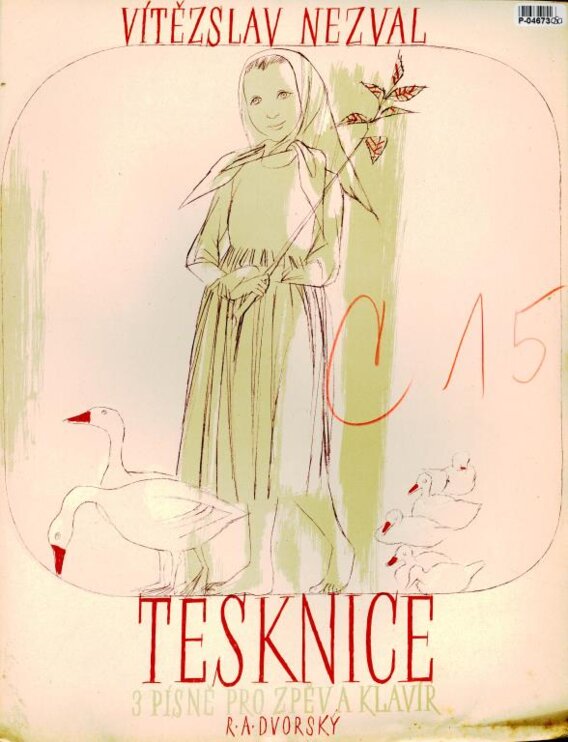 Tesknice