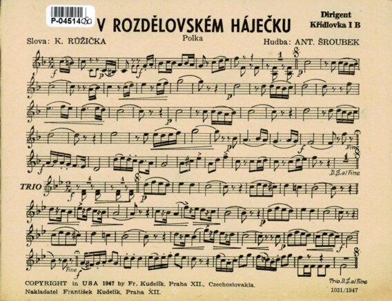 V rozdělovském háječku