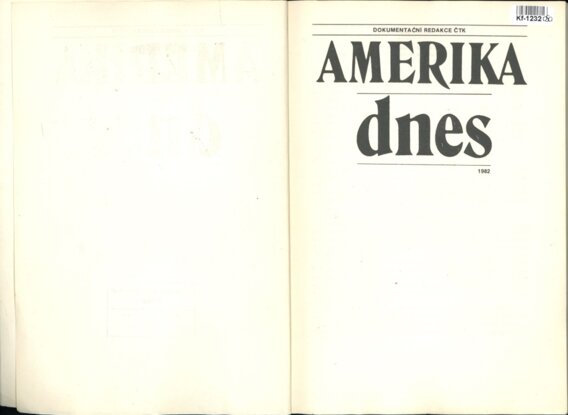 Amerika dnes