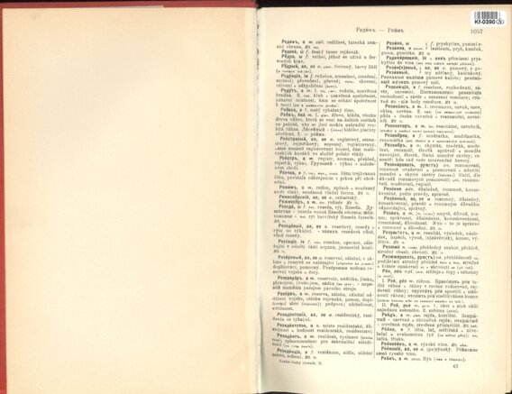 Ruskočeský slovník I.