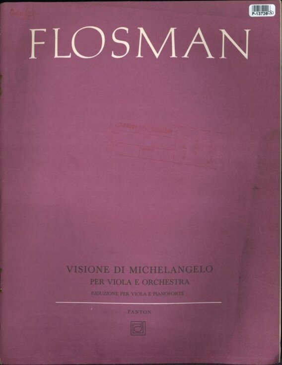 Visione di Michelangelo