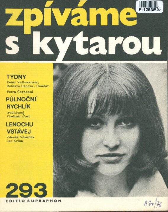 Zpíváme s kytarou 293
