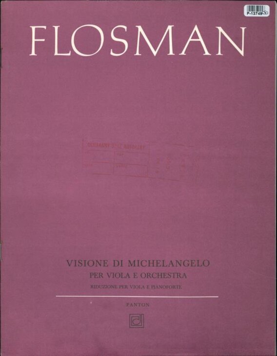 Visione di Michelangelo