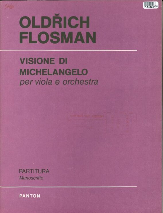 Visione di Michelangelo