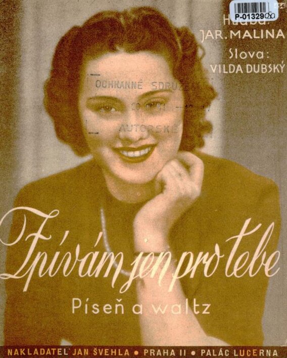 Zpívám jen pro tebe