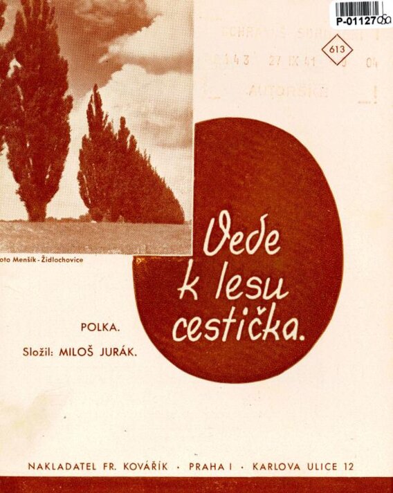 Vede k lesu cestička