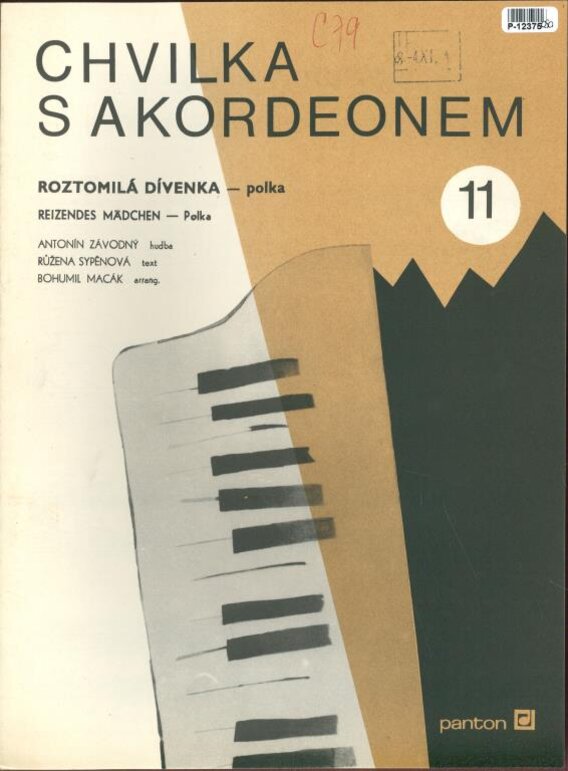 Chvilka s akordeonem 11