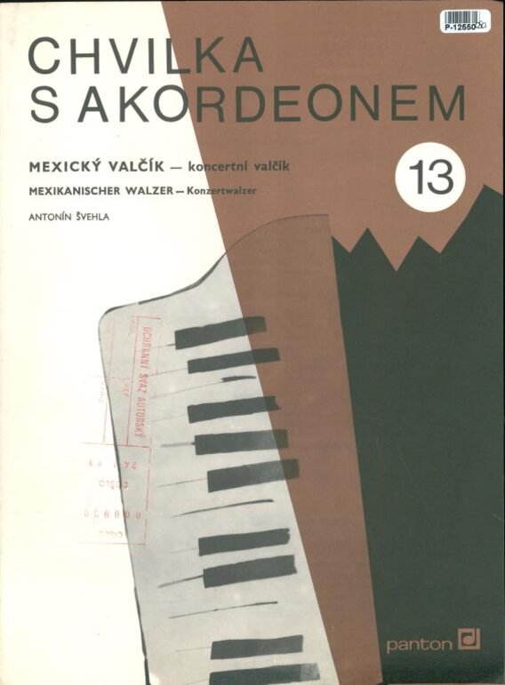 Chvilka s akordeonem 13