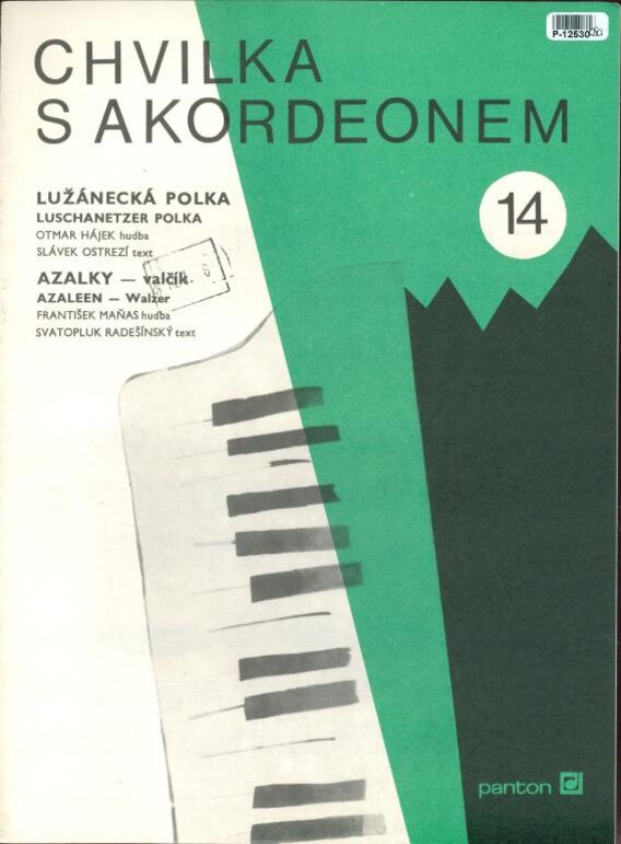 Chvilka s akordeonem 14
