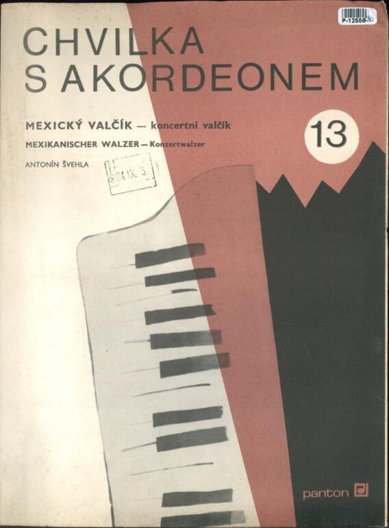 Chvilka s akordeonem 13