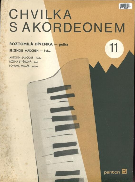 Chvilka s akordeonem 11