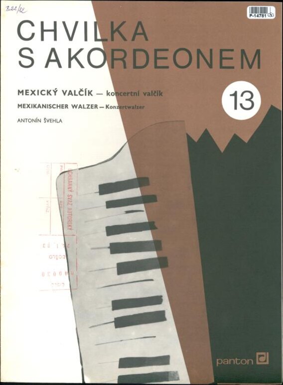 Chvilka s akordeonem 13