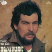 Rosa Na Kolejích (Písničky Wabi Daňka)