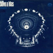 Slovo a hlas - Slavnostní pořád z České poezie 19. a 20. století k 15. výročí violy