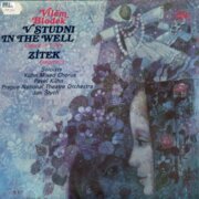 Vilém Blodek - V studni, Zítek