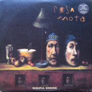 13THCD2/ROSA MOTA - WISHFUL SINKING