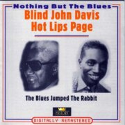 NOTHING BUT THE BLUES - BLIND JOHN DAVIS
